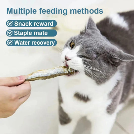 المجفف (Capelin) سمك