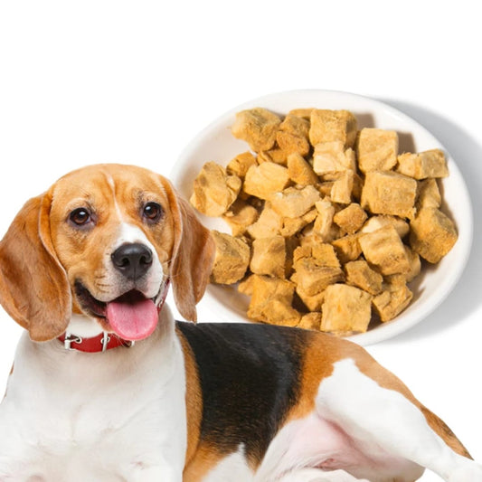 السالمون المجفف