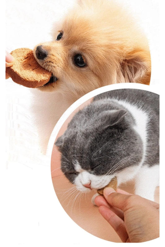 باتيه الديك الرومي المجفف