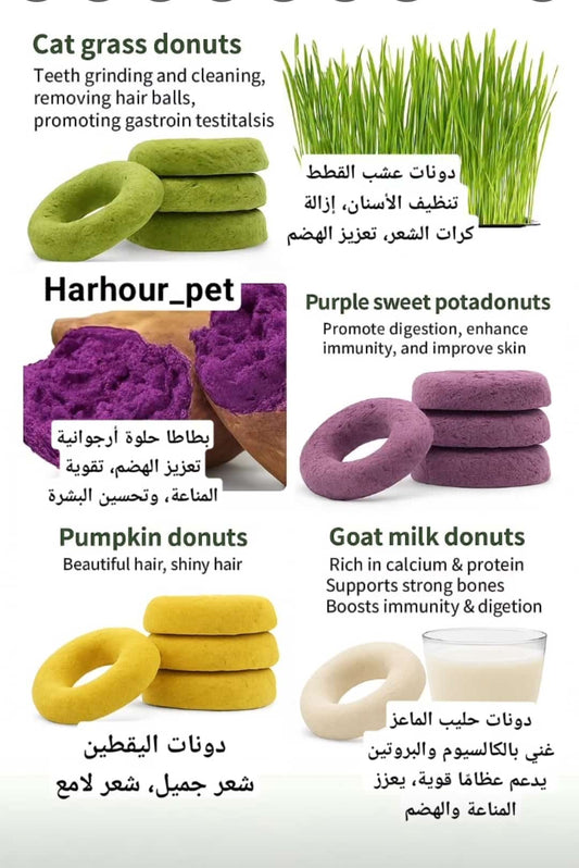 تريت الدونات المجفف