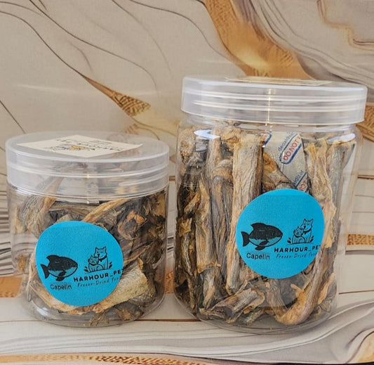 المجفف (Capelin) سمك