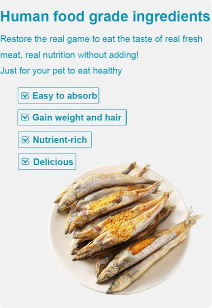 المجفف (Capelin) سمك
