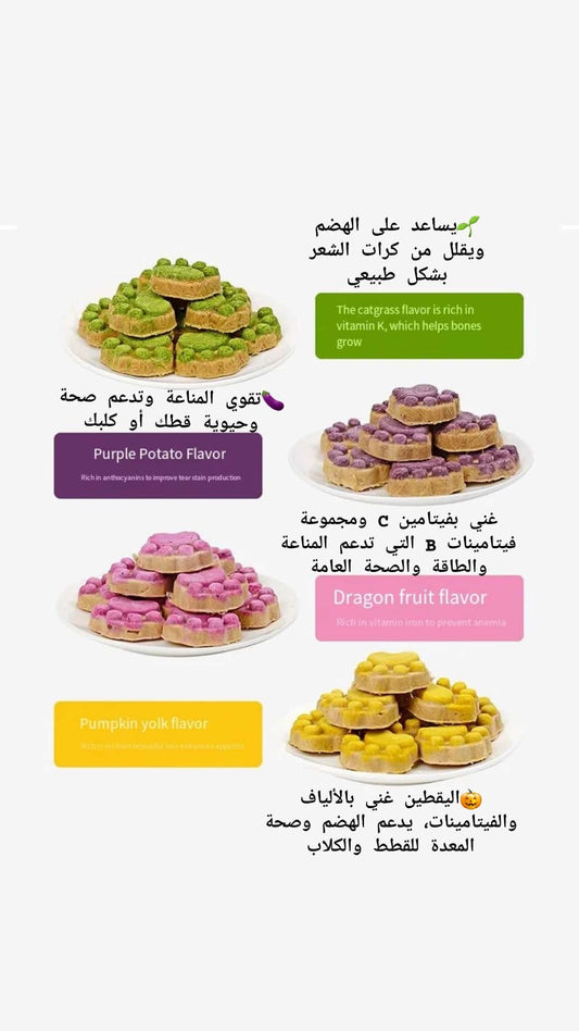 مخلب القطط